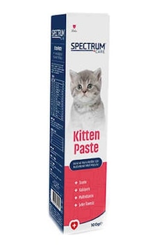 Northcity Kedi Multivitamin Malt Macunu 100 Gr - Anne Ve Yavru Kedi İçin Gelişmiş Bakım Takviyesi Northcity Kedi Multivitamin Malt Macunu 100 Gr - Anne Ve Yavru Kedi İçin Gelişmiş Bakım Takviyesi