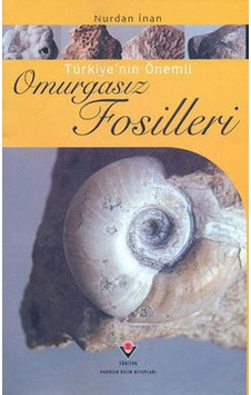 Türkiye'Nin Önemli Omurgasız Fosilleri