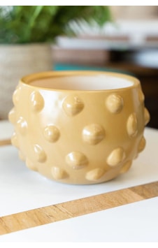 Terra Cotta Saksılık Sarı Terra Cotta Saksılık Sarı