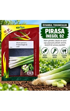 Pırasa Inegöl 10 Gr Tohum Pırasa Inegöl 10 Gr Tohum