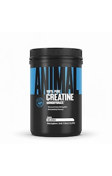 Universal Animal Creatine Monohydrate 500 Gr Standart