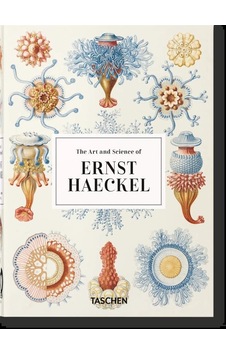 The Art And Science Of Ernst Haeckel The Art And Science Of Ernst Haeckel