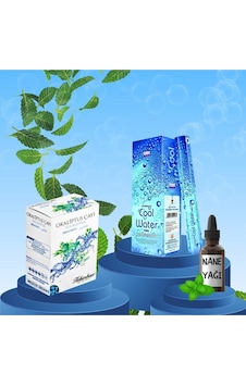 Ferah Ortam Seti Cool Water Tütsü 20 Çubuk + Okaliptüs Küp Çay + Nane Yağı 20 Ml Ferah Ortam Seti Cool Water Tütsü 20 Çubuk + Okaliptüs Küp Çay + Nane Yağı 20 Ml
