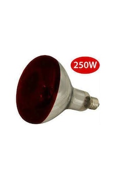 Fi̇zi̇k ̇ Lambasi 250w Philips