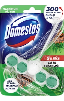 Domestos Çam Ferahlığı Wc Blok 50 G