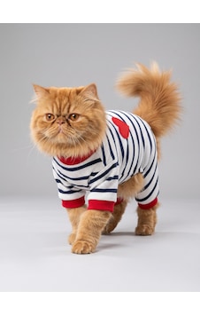 Mon Amour Çizgili Kedi Tulumu Pamuklu Penye Kedi Kıyafeti Küçük Irklar İçin Tüy Dökülmesini Azaltır Mon Amour Çizgili Kedi Tulumu Pamuklu Penye Kedi Kıyafeti Küçük Irklar İçin Tüy Dökülmesini Azaltır