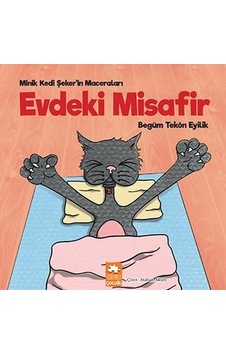 Evdeki Misafir - Minik Kedi Şeker'in Maceraları - Begüm Tekön Eyilik - Eksik Parça
