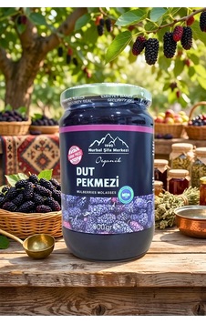 Organik Dut Pekmezi 900 Gr