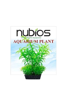 Nubios Plastik Bitki Kare Tabanlı Tekli Karton 10 Cm 219-59009.01 Nubios Plastik Bitki Kare Tabanlı Tekli Karton 10 Cm 219-59009.01