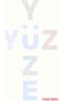 Yüzyüze 9789758434824 Yüzyüze 9789758434824