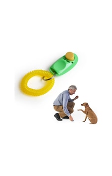 River World Köpekler İçin Eğitim Aleti River World Köpekler İçin Eğitim Aleti