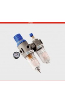 1/4" İkli Şartlandırıcı Fr+l