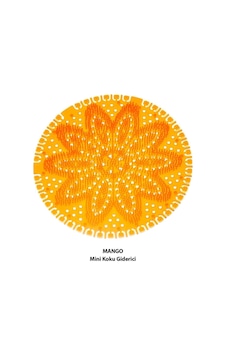 Mini Pisuvar Süzgeci Koku Giderici 10 Adet Mango Mini Pisuvar Süzgeci Koku Giderici 10 Adet Mango