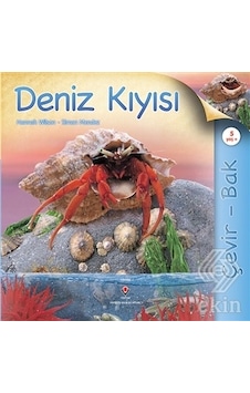Çevir Bak Deniz Kıyısı - Simon Mendez -  Hannah Wilson - Tübitak Yayınları