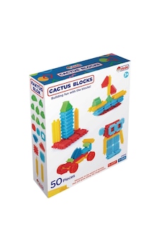 04003 Kaktüs Blok 50 Parça -dede