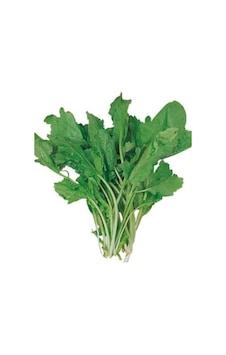 Tedar Tere Tohumu 10 Gr Najmaddin Standart