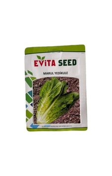 1 Adet Yedi Kule Düz Marul Tohumu 10 Gr.
