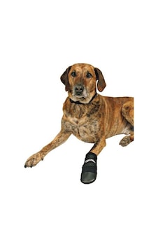 Trixie Neopren Köpek Patiği 2'li Trixie Neopren Köpek Patiği 2'li
