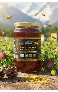 Nurbal Organik Munzur Dağ Balı 1 KG