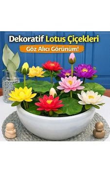 Lotus Çiçeği Tohumu 6 Adet Nilüfer Çiçeği Tohumu Nadir Kutsal Lotus 6 Lotus Çiçeği Tohumu 6 Adet Nilüfer Çiçeği Tohumu Nadir Kutsal Lotus 6