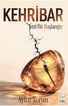 Kehribar & Yeni Bir Başlangıç / Aylin Torun