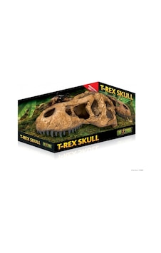 Pt2859-Exo Terra Trex Kafatası Şekilli Sürüngen Yuvası Pt2859-Exo Terra Trex Kafatası Şekilli Sürüngen Yuvası