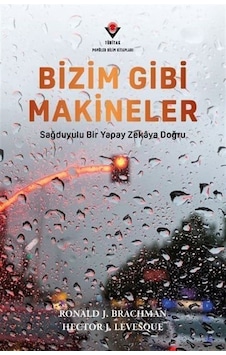 Bizim Gibi Makineler / Hector J. Levesque