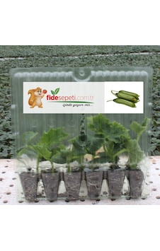 Fide Sepeti Silor Salatalık Fidesi (6Lı Ambalaj) 337844069 Fide Sepeti Silor Salatalık Fidesi (6Lı Ambalaj) 337844069