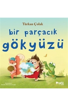 Bir Parçacık Gökyüzü / Türkan Çolak