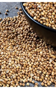 Kişniş Tane 100 Gr Kişniş Tane 100 Gr