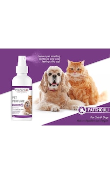 Pro Perfeck Kedi ve Köpek Paçuli Parfüm 100 ML Pro Perfeck Kedi ve Köpek Paçuli Parfüm 100 ML