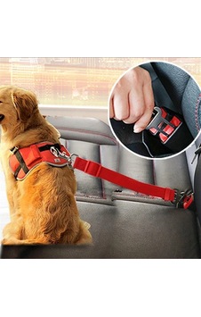 Evcil Hayvan Araç Emniyet Kemeri Kedi Köpek Araba Oto Tasması Oto Aksesuarları Pembe Çok Renkli