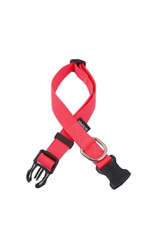 Actirex Neon Yumuşak Doku Ayarlanabilir Köpek Boyun Tasma Red 35 Kırmızı Actirex Neon Yumuşak Doku Ayarlanabilir Köpek Boyun Tasma Red 35 Kırmızı