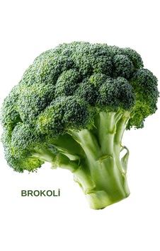 Brokoli Tohumu 20 Gr. 20 Gr. Brokoli Tohumu 20 Gr. 20 Gr.