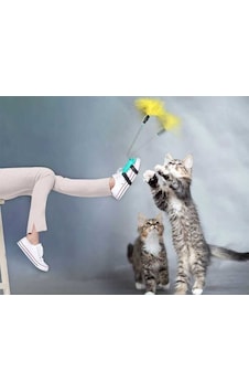 Kedi Oyuncağı Ayak Oltası Kedi Oyuncağı Ayak Oltası