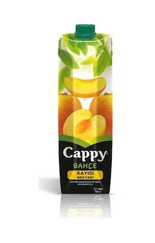 Kayısı Meyve Suyu 1 Lt. Kayısı Meyve Suyu 1 Lt.
