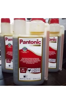 Pantoni̇c Vi̇tami̇n 1lt Faturali Pantoni̇c Vi̇tami̇n 1lt Faturali