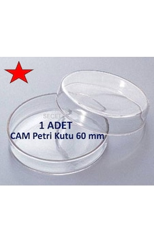 Cam Petri Kabı 60 X 15 Mm Cam Petri Kabı 60mm- 1 Adet Cam Petri Kabı 60 X 15 Mm Cam Petri Kabı 60mm- 1 Adet