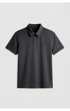 Antrasit Standart Kalıp Basic Polo Yaka Erkek T-shirt - 87748 Antrasit Antrasit Standart Kalıp Basic Polo Yaka Erkek T-shirt - 87748 Antrasit