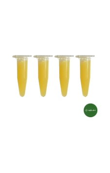 3v Keiki Orkide Çoğaltma Macunu En Etkili 4 Adet X 1,5 Gr- Stokinin Büyüme Hormonu 4 3v Keiki Orkide Çoğaltma Macunu En Etkili 4 Adet X 1,5 Gr- Stokinin Büyüme Hormonu 4