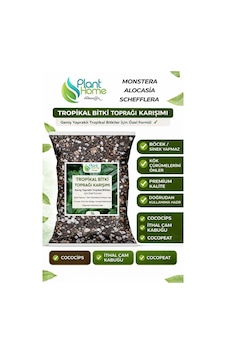 Tropikal Bitki Toprağı Karışımı Monstera Alocasia Schefflera İçin Sinek Yapmayan Formül 5 Litre Diğer Tropikal Bitki Toprağı Karışımı Monstera Alocasia Schefflera İçin Sinek Yapmayan Formül 5 Litre Diğer