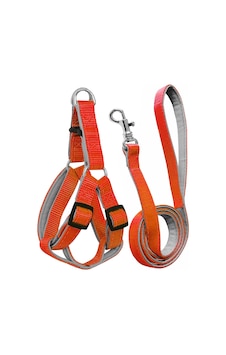 Gezdirme Kayışlı Dokuma Köpek Göğüs Tasma Seti 40 60-110 Cm Turuncu