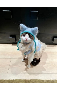 Busako Cat Özel Tasarım Kedi Kıyafeti Busako Cat Özel Tasarım Kedi Kıyafeti