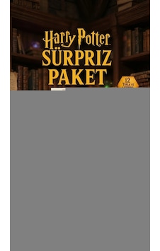 Buğz Harry Potter Sürpriz Figür Koleksiyonu Kutu Oyuncak