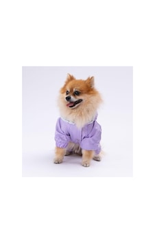 Adonis Yağmurluk Köpek Kıyafeti, Küçük Irklar İçin, L Açık Gri Adonis Yağmurluk Köpek Kıyafeti, Küçük Irklar İçin, L Açık Gri