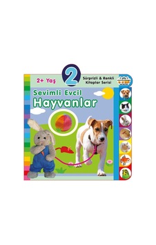 Yaş Sevimli Evcil Hayvanlar 2+yaş