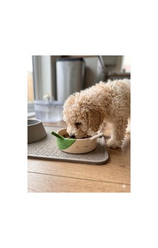 Yeşil Tavşan Seramik Mama Kabı - Köpek Ve Kediler İçin Yeşil Tavşan Seramik Mama Kabı - Köpek Ve Kediler İçin