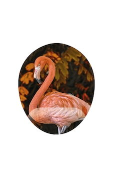 Flamingo Dış Çekim - Tasarım Baskılı Mouse Pad Bileklikli Mousepad