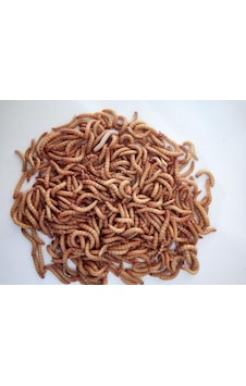 Turkuaz Un Kurdu 150 G Turkuaz Un Kurdu 150 G