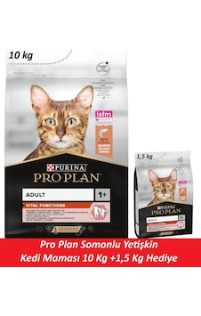 Pro Plan Somonlu Yetişkin Kedi Maması 10 Kg + 1,5 Kg Hediye Pro Plan Somonlu Yetişkin Kedi Maması 10 Kg + 1,5 Kg Hediye